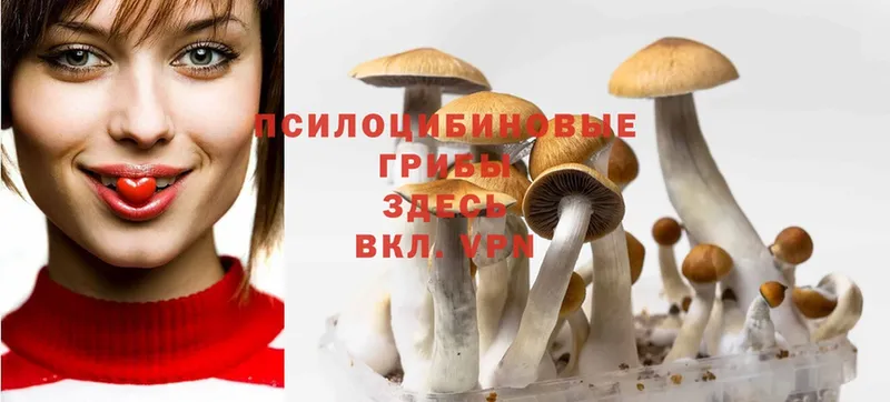 Галлюциногенные грибы MAGIC MUSHROOMS  Лиски 