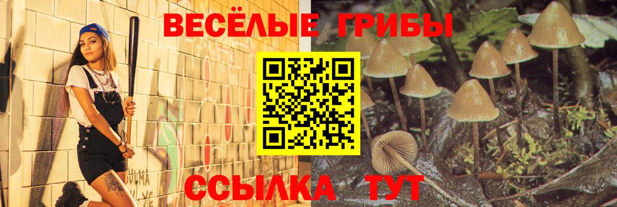 Псилоцибиновые грибы Psilocybe  Вход с VPN  Лиски 